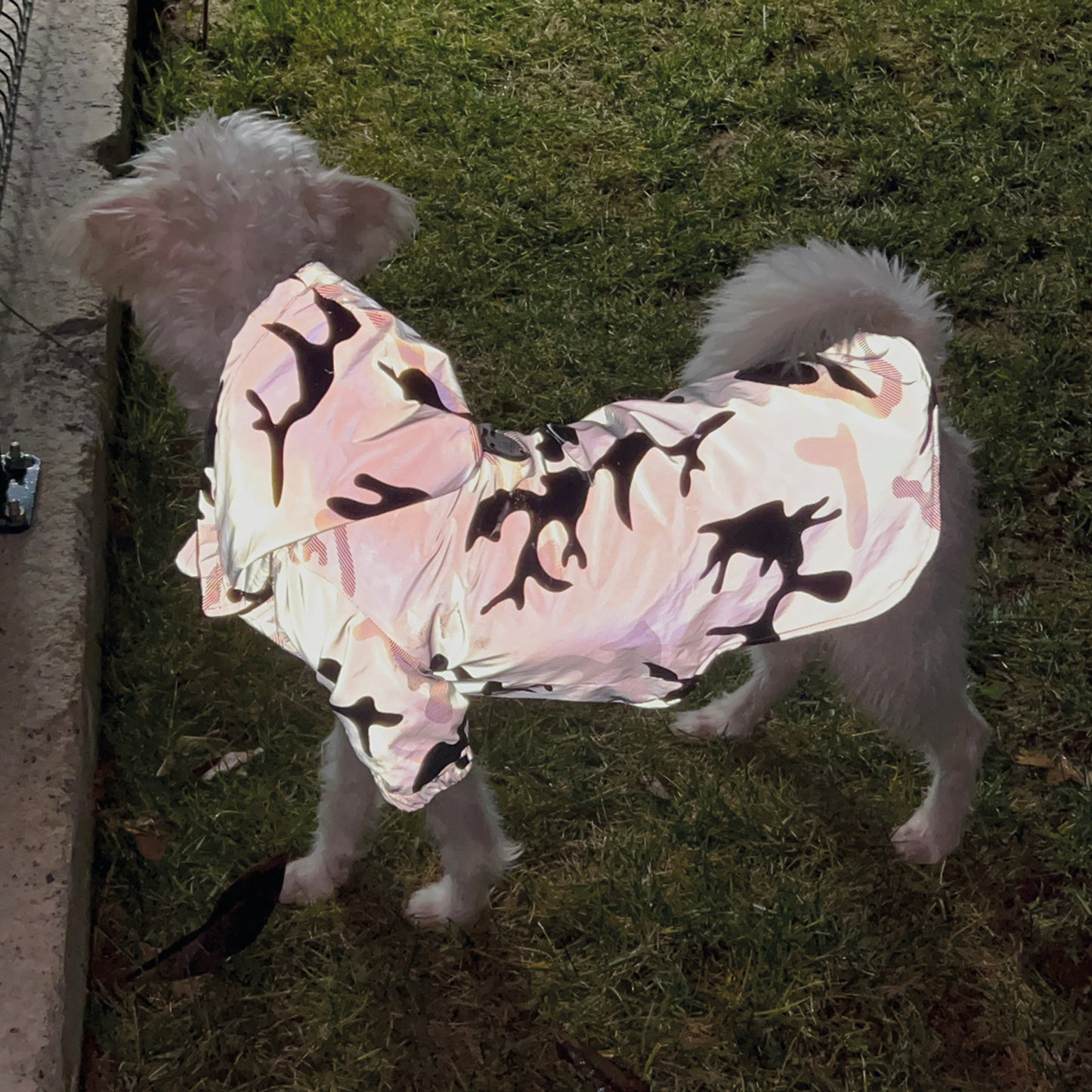 Kuccu Kuccu Reflektierende Hunderegenjacke mit Camouflage-Muster | Wasserdicht | S-XXL