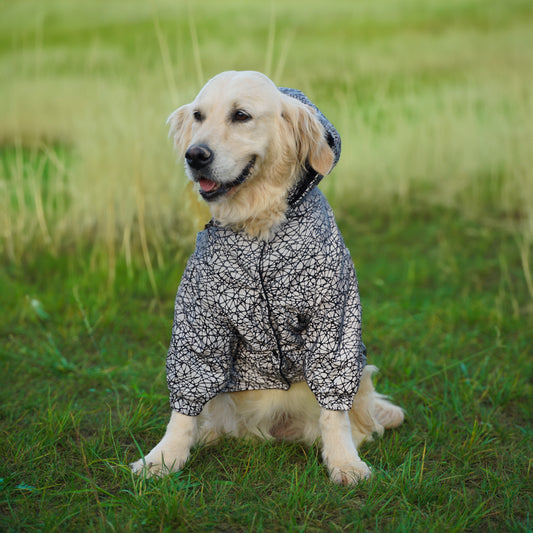 Kuccu Kuccu Reflektierende Hunderegenjacke mit Spinnennetzmuster – Für große Hunderassen | Wasserdicht | XL-XXL