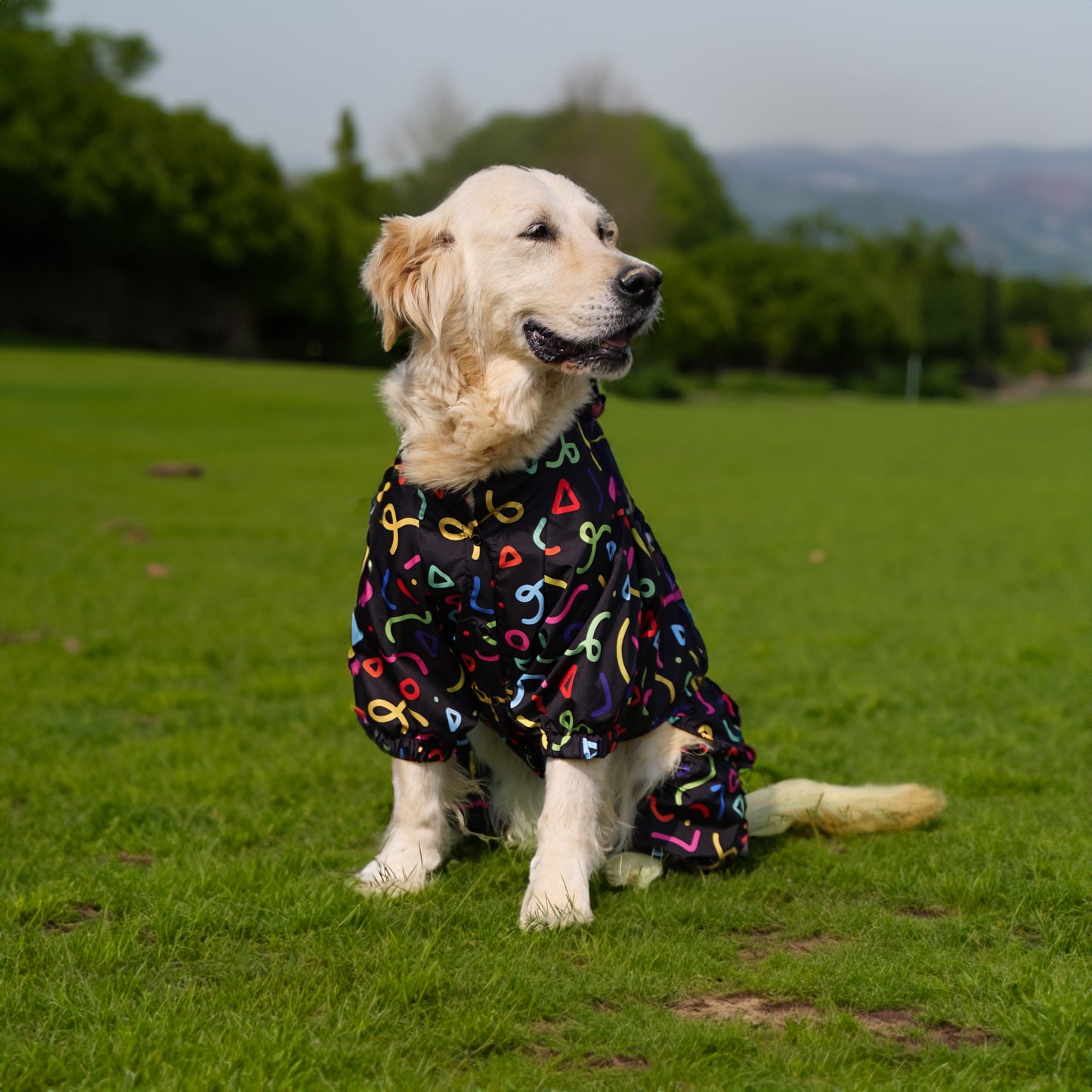 Kuccu Kuccu Regen-Overall für grosse Hunde – 100 % Wasserdicht | Design mit Spezialdruck | Größen S–XXL