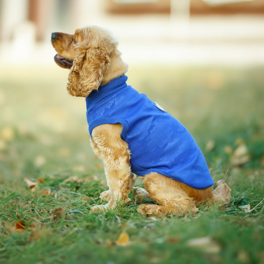 Kuccu Kuccu Softshell-Hundejacke – Blau mit Camouflage-Muster | Größen S–XXL