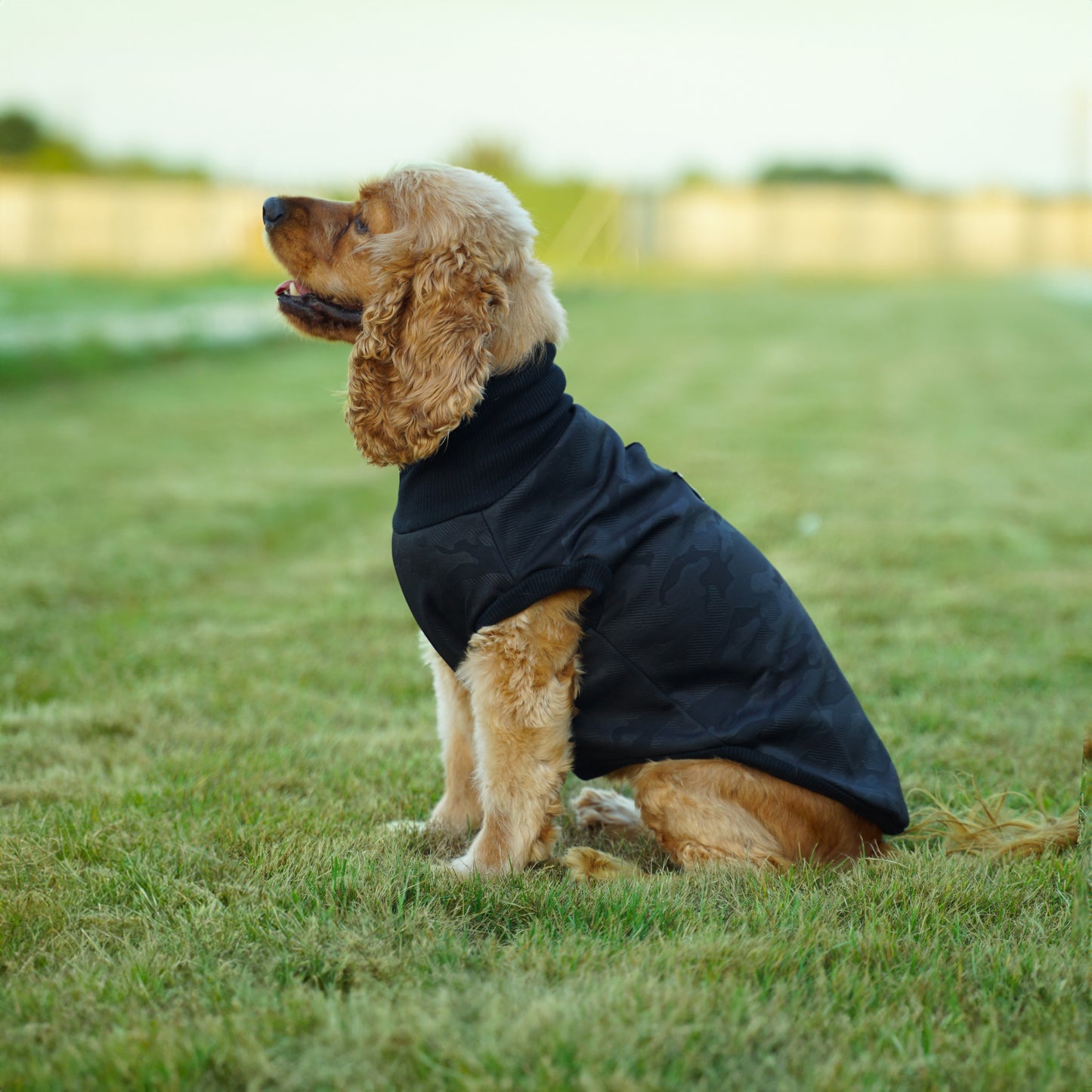 Kuccu Kuccu Softshell-Hundejacke – Schwarz mit Camouflage-Muster | Größen S–XXL
