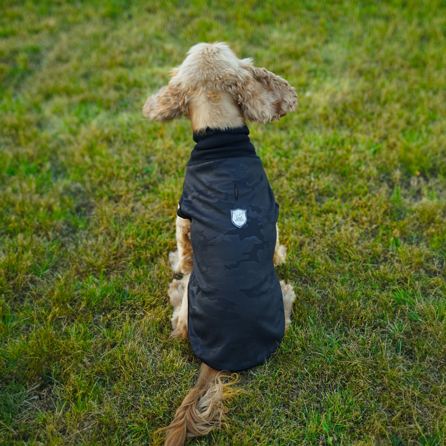 Kuccu Kuccu Softshell-Hundejacke – Schwarz mit Camouflage-Muster | Größen S–XXL