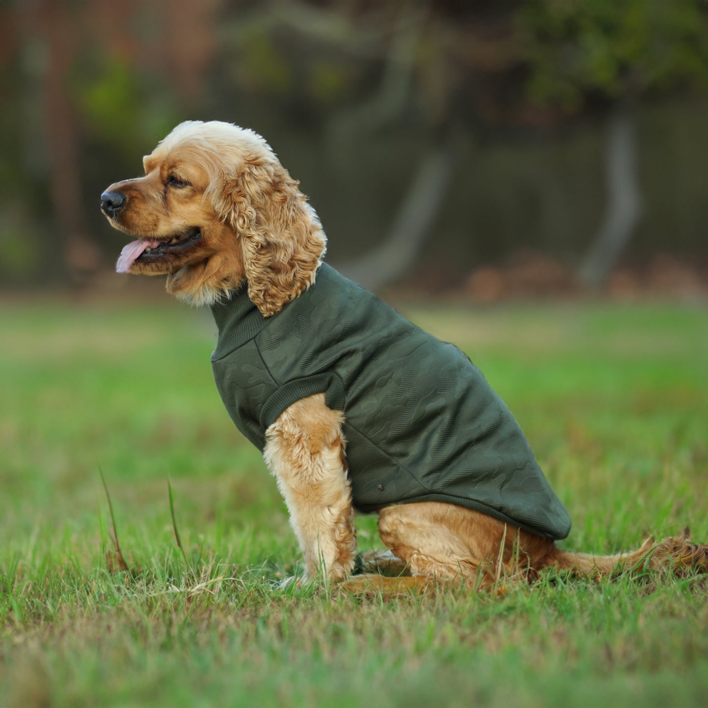 Kuccu Kuccu Softshell-Hundejacke – Grün mit Camouflage-Muster | Größen S–XXL