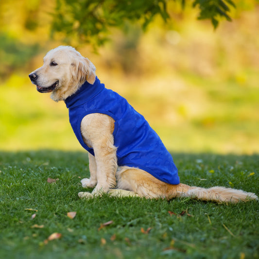 Kuccu Kuccu Softshell-Hundejacke – Blau mit Camouflage-Print | Große Rassen | Größen 3XL–6XL