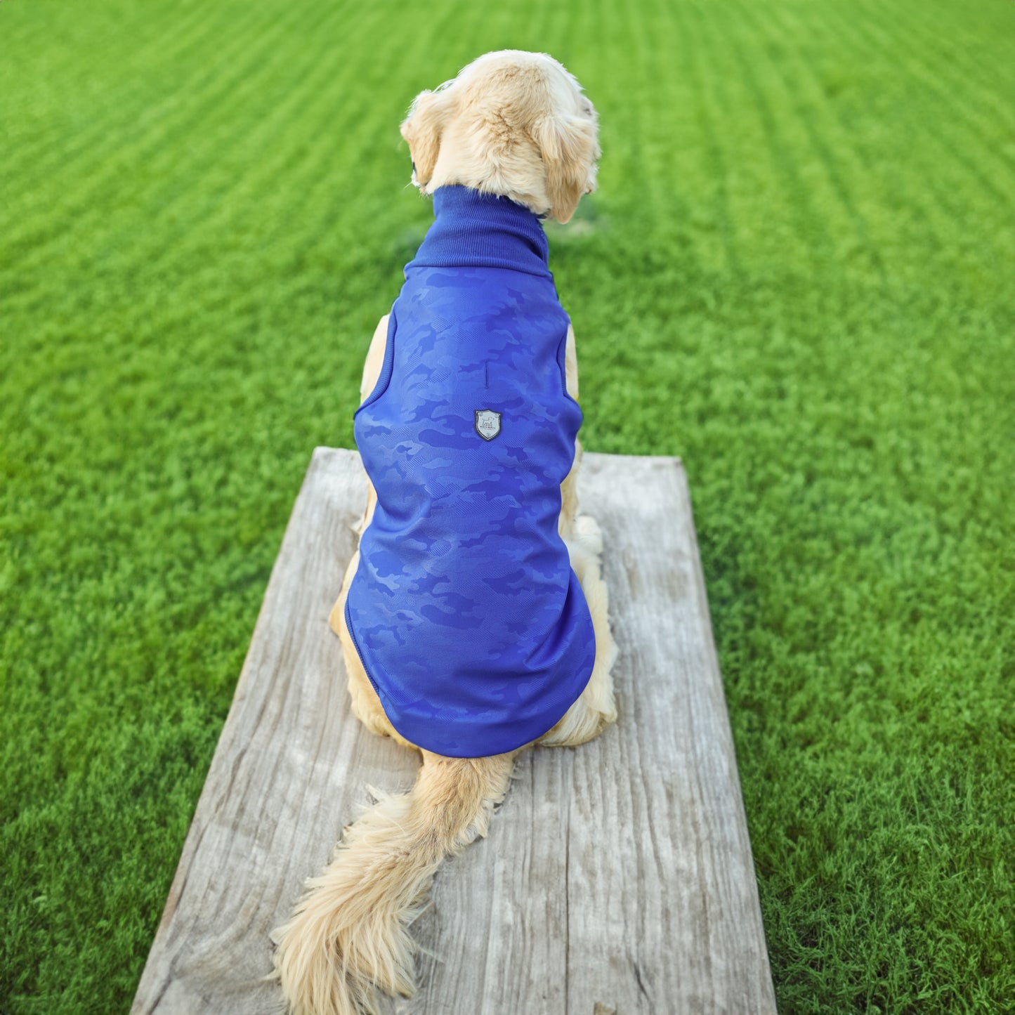 Kuccu Kuccu Softshell-Hundejacke – Blau mit Camouflage-Print | Große Rassen | Größen 3XL–6XL