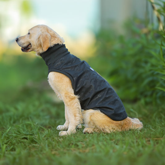 Kuccu Kuccu Softshell-Hundejacke – Grün mit Camouflage-Print | Große Rassen | Größen 3XL–6XL