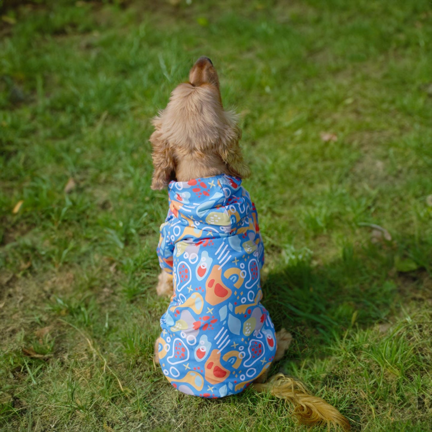 Kuccu Kuccu Design-Hundejacke – Blau| Winddicht & Wasserabweisend | Größen S–XXL