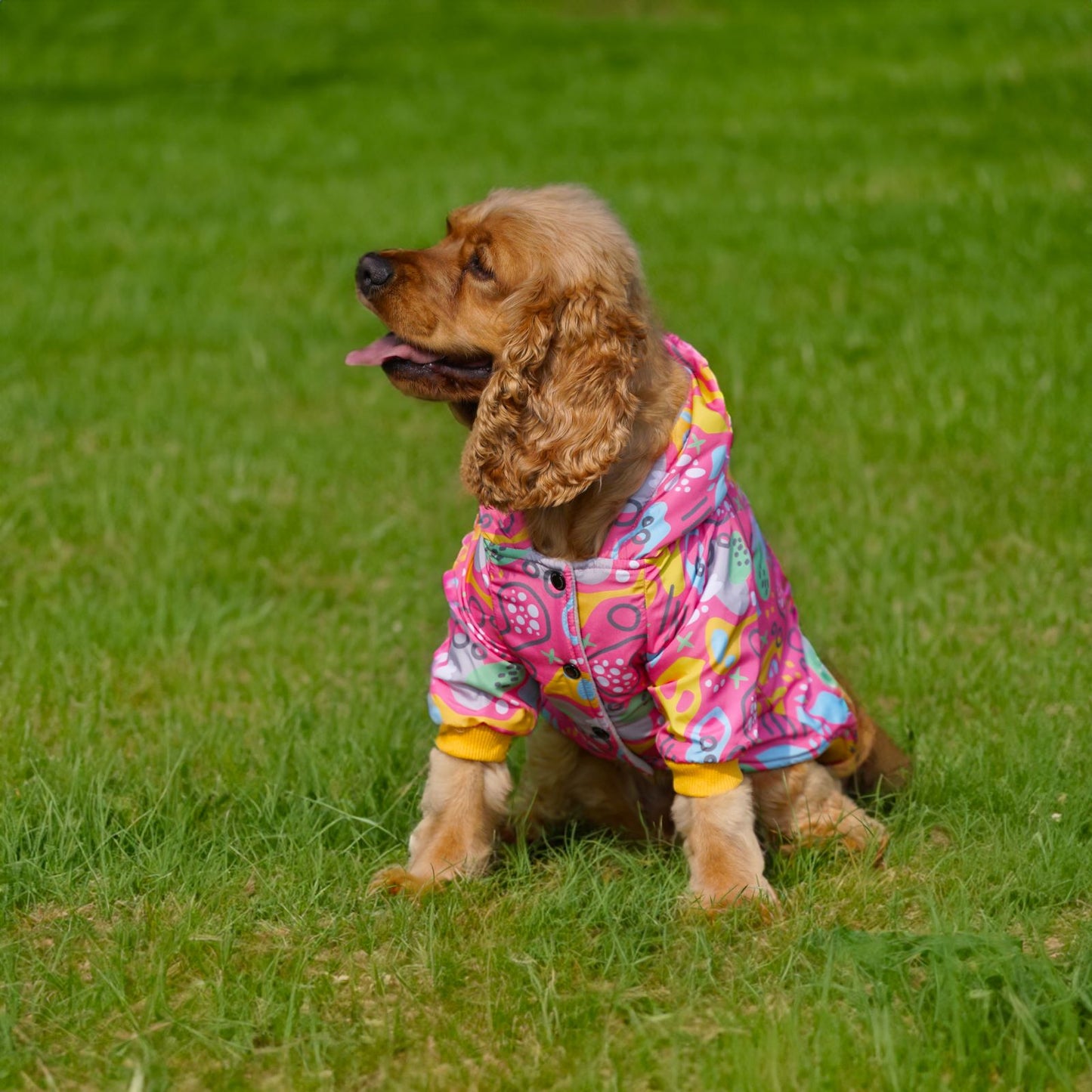 Kuccu Kuccu Design-Hundejacke – Pink| Winddicht & Wasserabweisend | Größen S–XXL