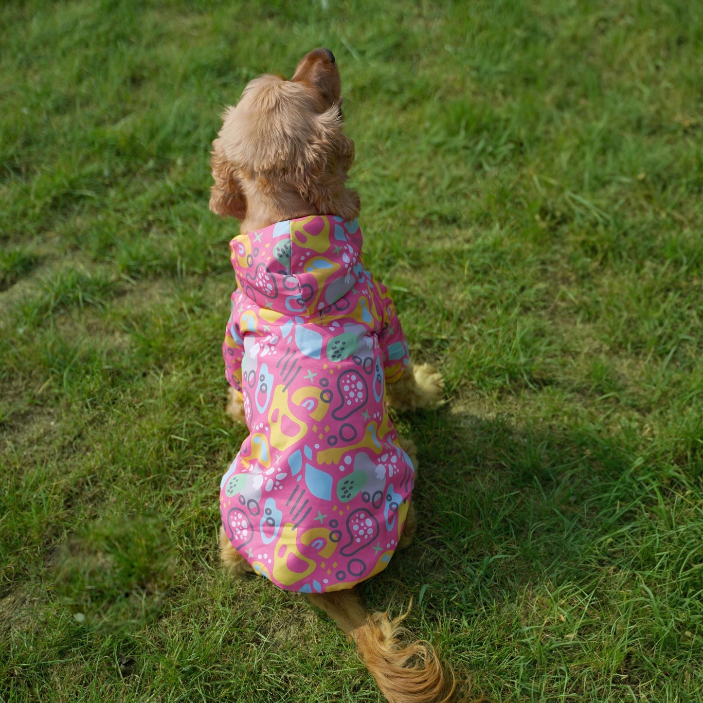 Kuccu Kuccu Design-Hundejacke – Pink| Winddicht & Wasserabweisend | Größen S–XXL
