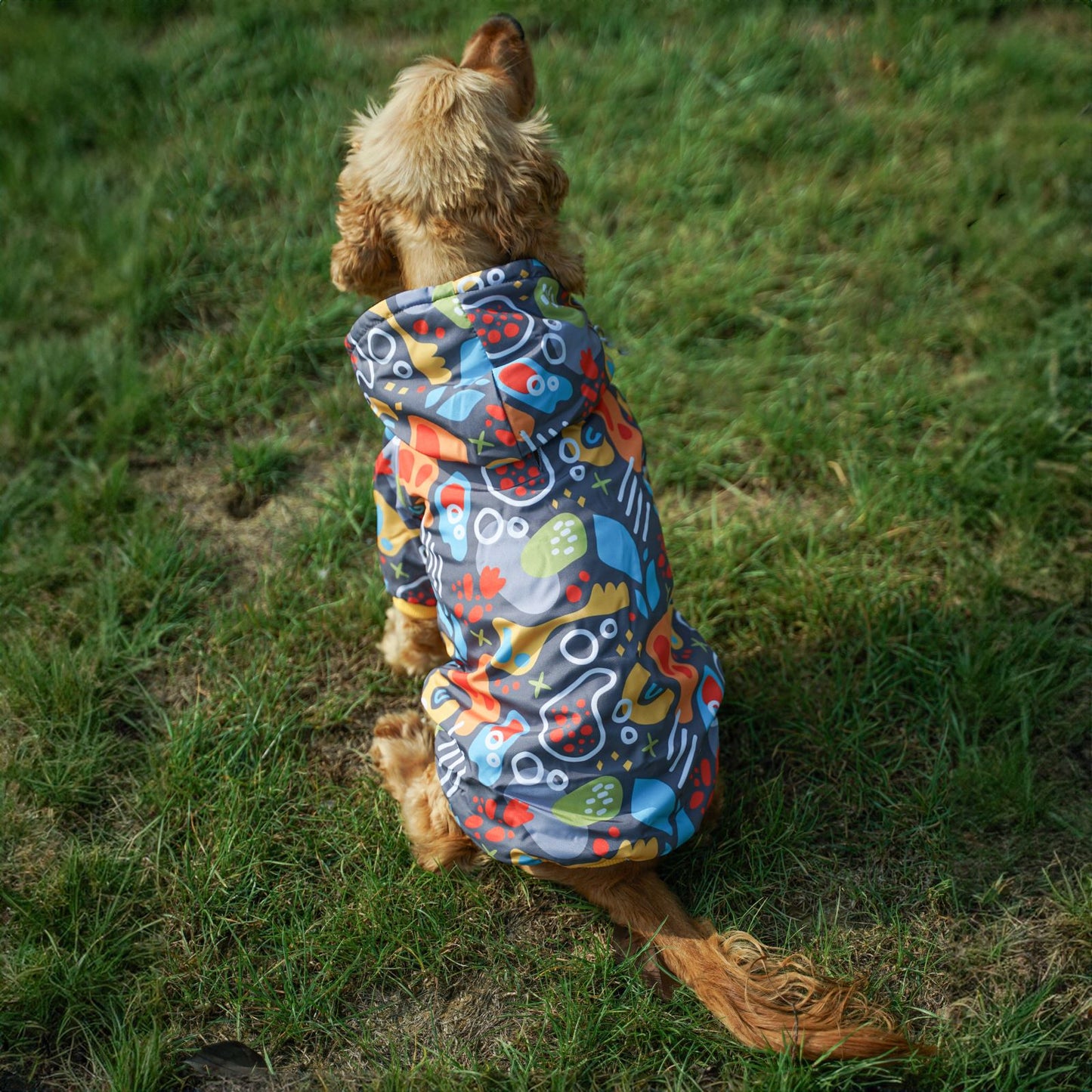 Kuccu Kuccu Design-Hundejacke – Grau| Winddicht & Wasserabweisend | Größen S–XXL