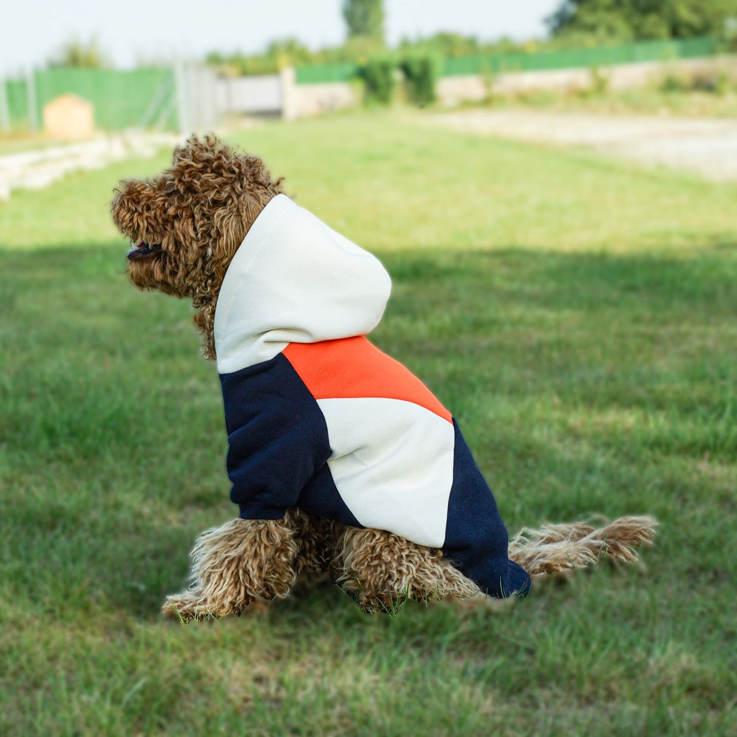 Kuccu Kuccu Dreifarbiger Hundesweatshirt – Mit Kapuze | Größen S–XXL
