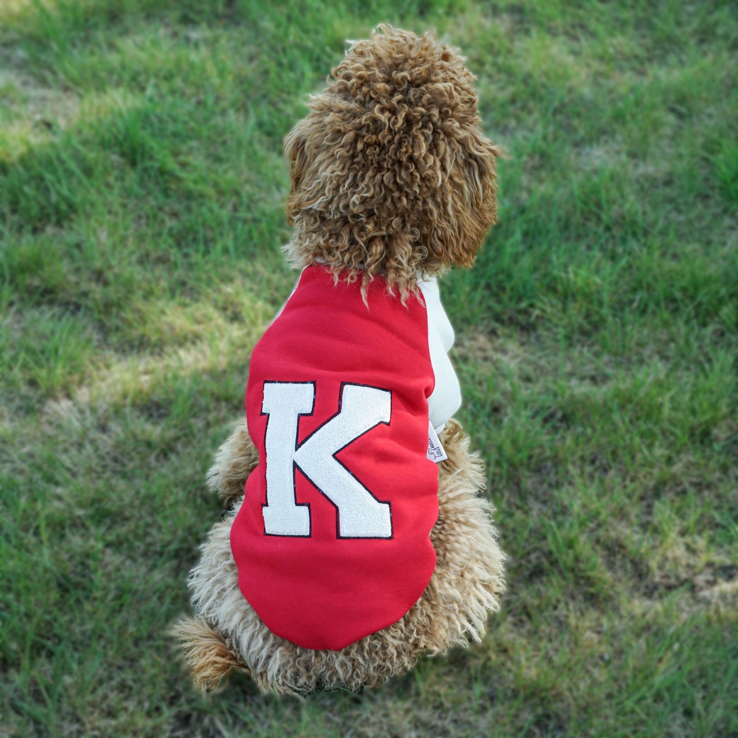 Kuccu Kuccu College-Hundejacke – Rot mit „K“-Stickerei | Größen S–XXL