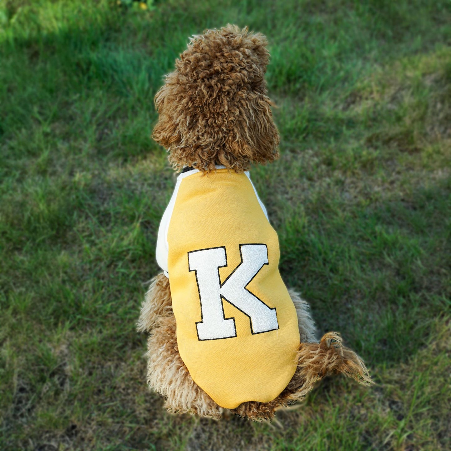 Kuccu Kuccu College-Hundejacke – Gelb mit „K“-Stickerei | Größen S–XXL