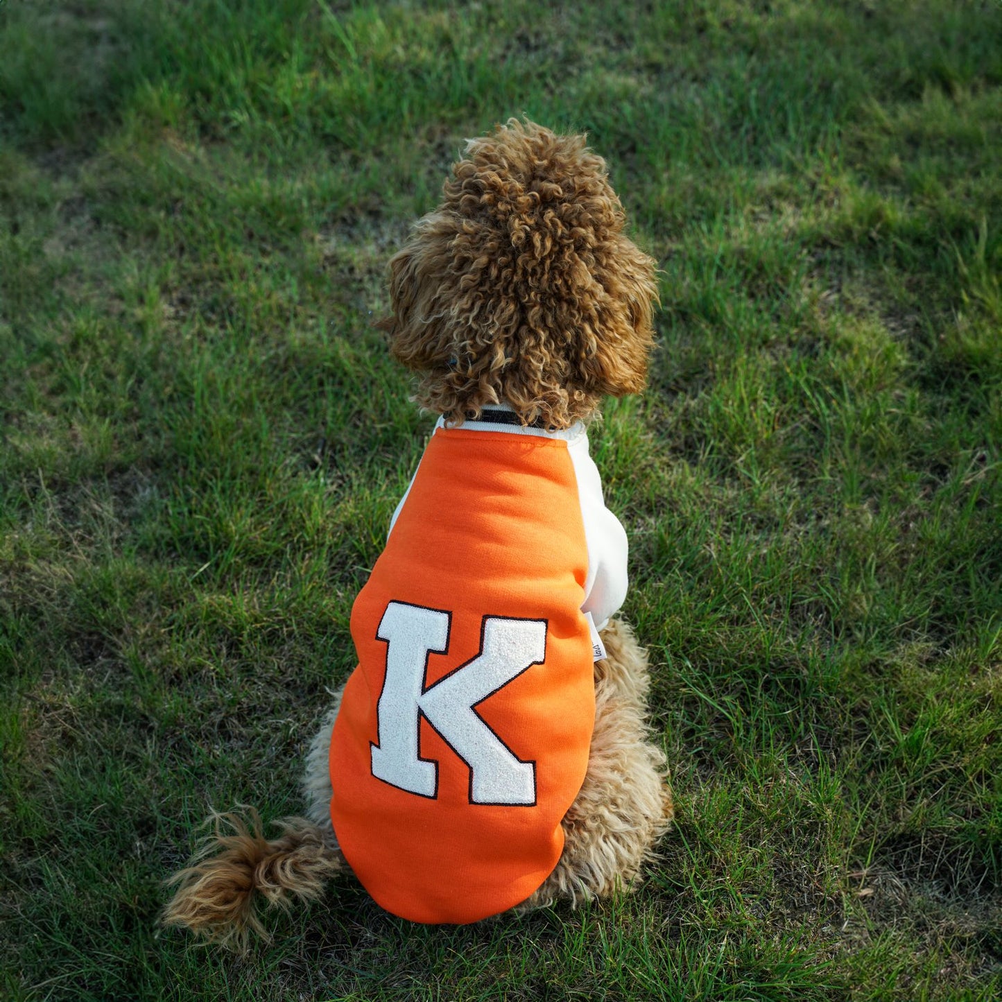 Kuccu Kuccu College-Hundejacke – Orange mit „K“-Stickerei | Größen S–XXL