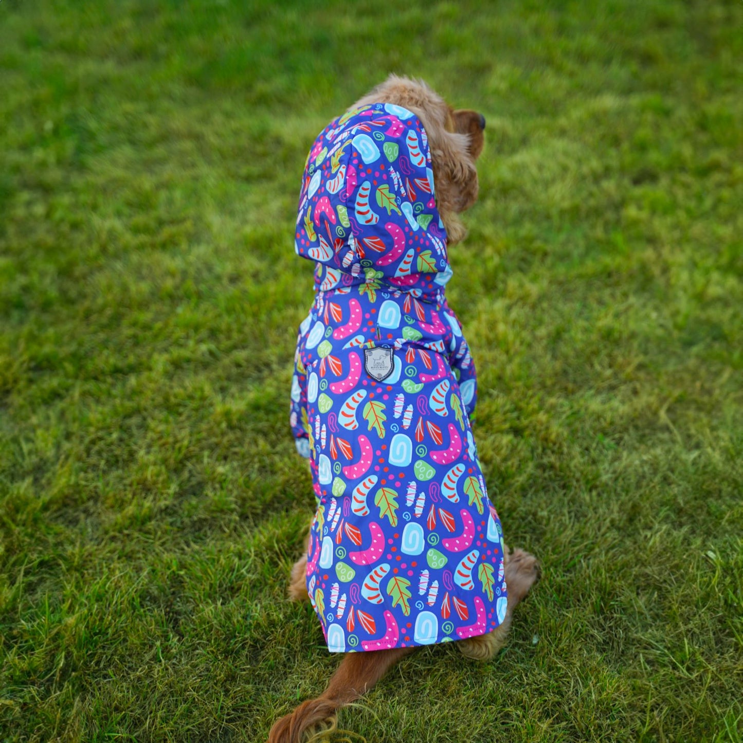 Kuccu Kuccu Neon Hunderegenjacke | Wasserdicht & Winddicht | S-XXL