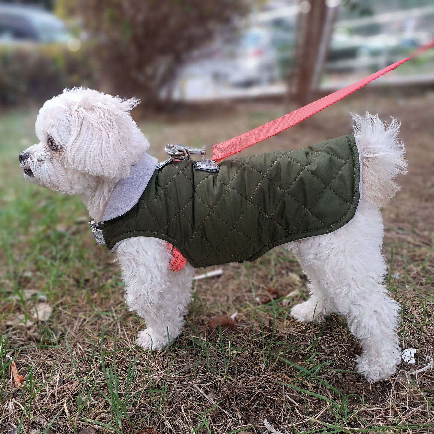 Kuccu Kuccu Gesteppte Hundejacke – Khaki | Wasserabweisend & Winddicht | Größen S–XXL