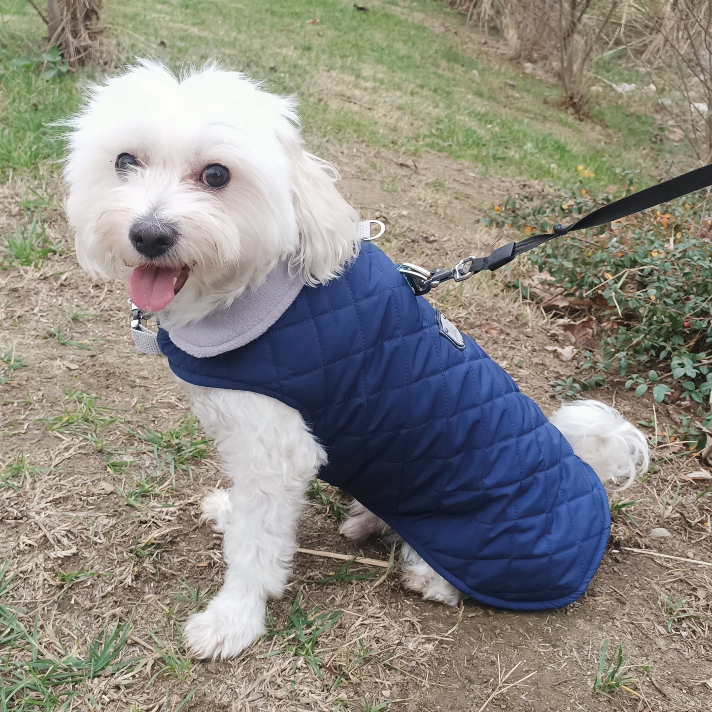Kuccu Kuccu Gesteppte Hundejacke – Dunkelblau | Wasserabweisend & Winddicht | Größen S–XXL