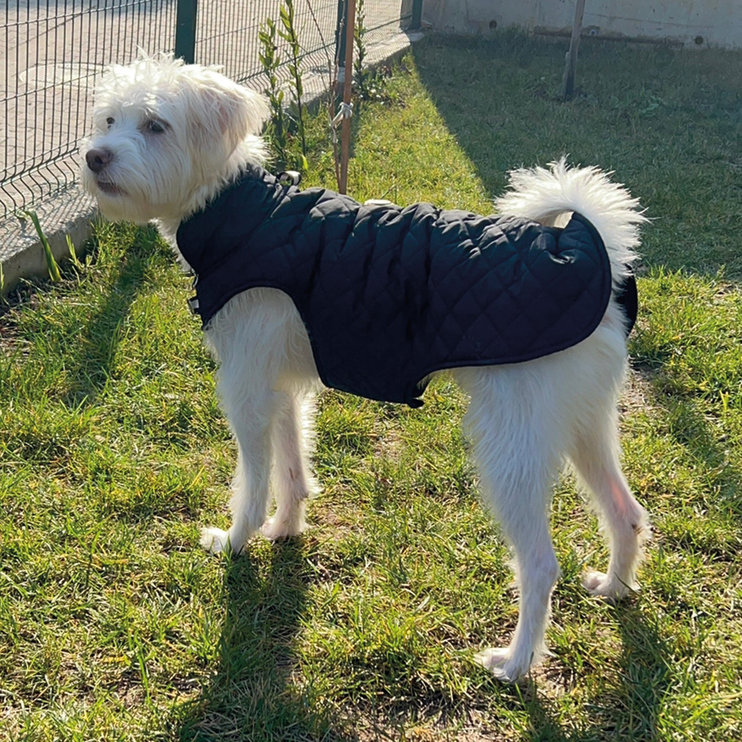 Kuccu Kuccu Gesteppte Hundejacke – Schwarz| Wasserabweisend & Winddicht | Größen S–XXL