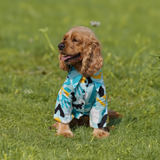 Kuccu Kuccu Hundehemd – Blau aus Viskose | 3 Musteroptionen | Größen S–XXL