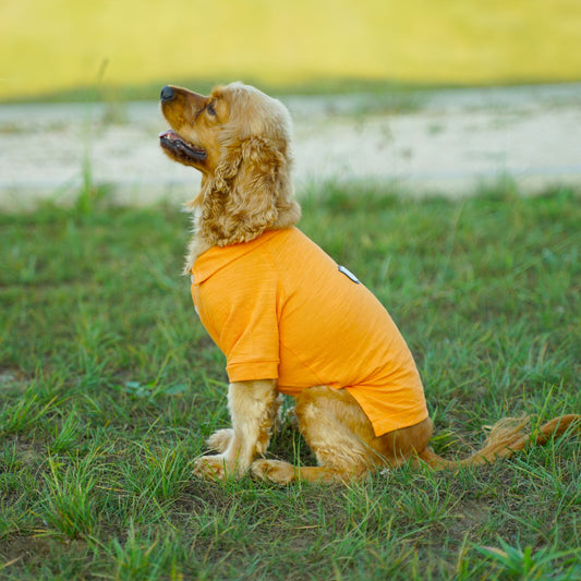 Kuccu Kuccu Hunde-T-Shirt – Orange aus Baumwolle | Größen S–XXL