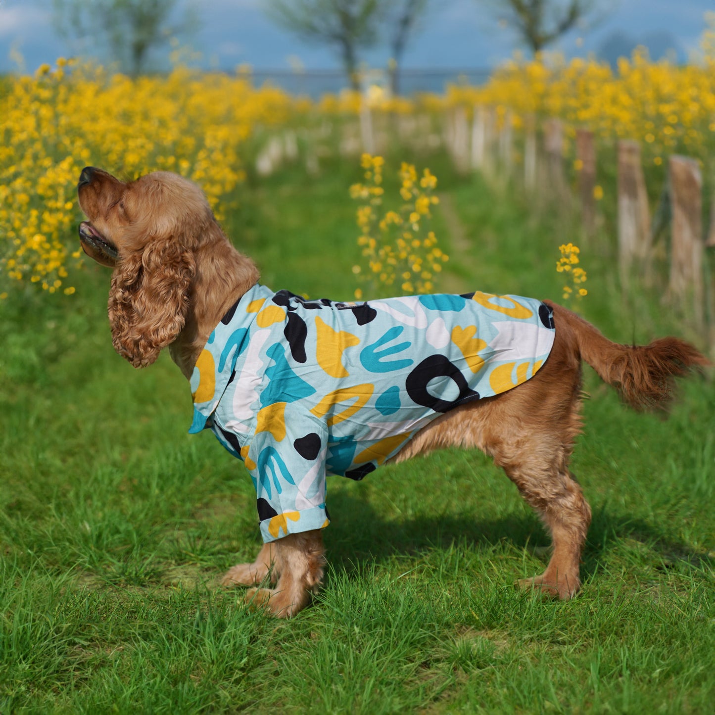 Kuccu Kuccu Hundehemd – Blau aus Viskose | 3 Musteroptionen | Größen S–XXL