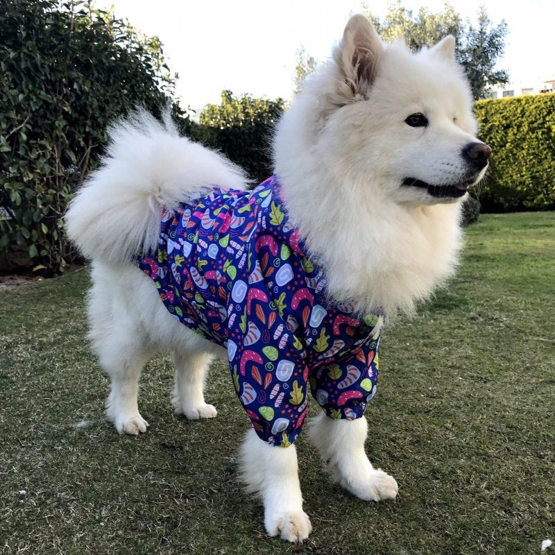 Kuccu Kuccu Neon Hunderegenjacke – Für große Hunderassen | 3XL-6XL | Wasserdicht & Winddicht