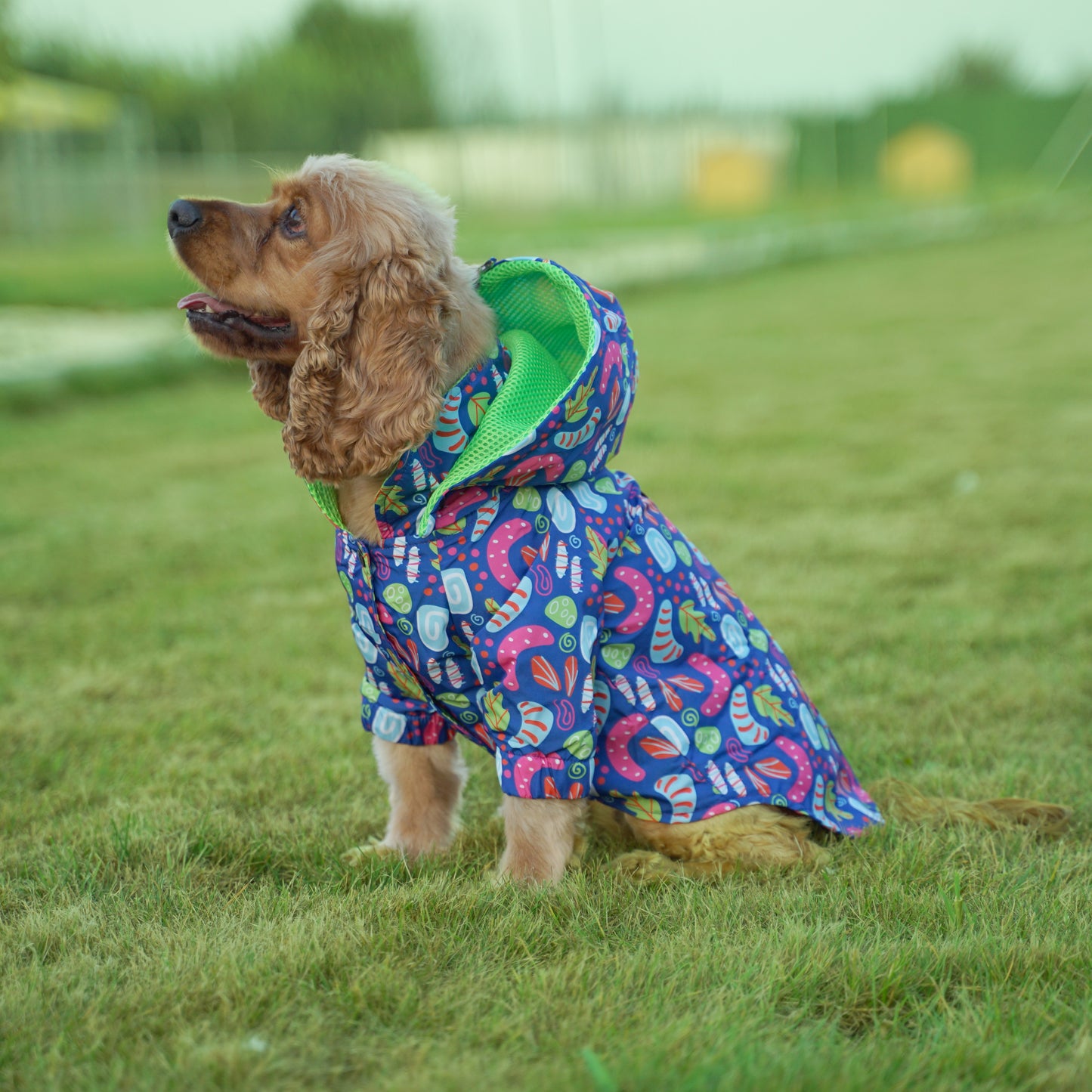 Kuccu Kuccu Neon Hunderegenjacke | Wasserdicht & Winddicht | S-XXL