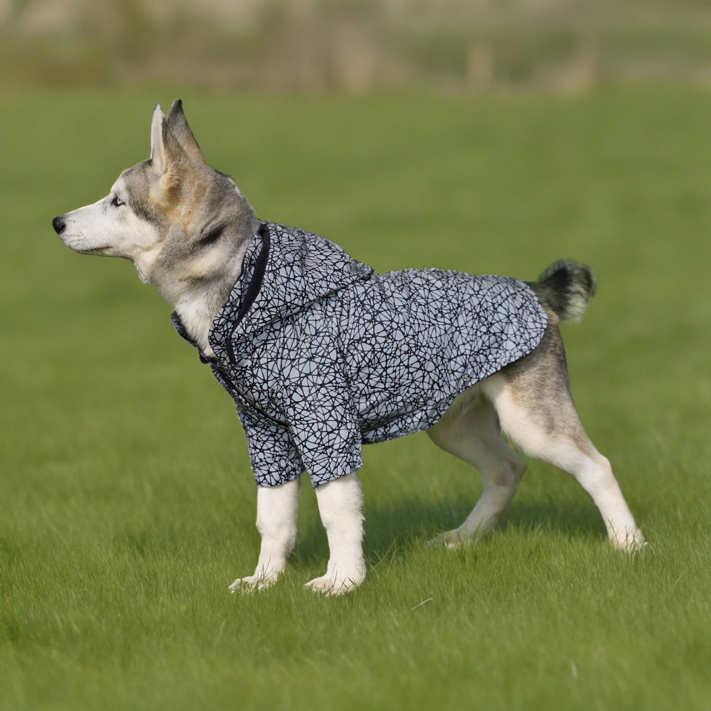 Kuccu Kuccu Reflektierende Hunderegenjacke mit Spinnennetzmuster | Wasserdicht | S-XXL