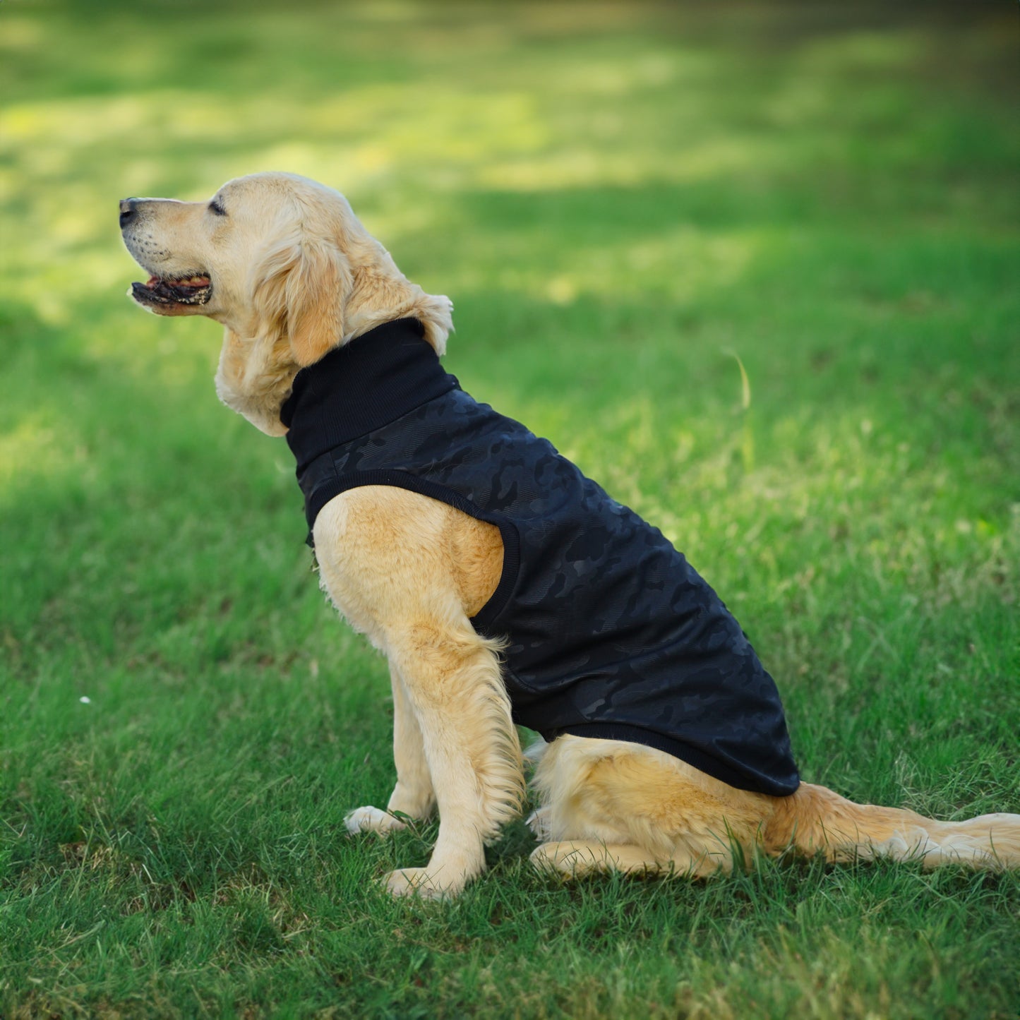 Kuccu Kuccu Softshell-Hundejacke – Schwarz mit Camouflage-Print | Große Rassen | Größen 3XL–6XL