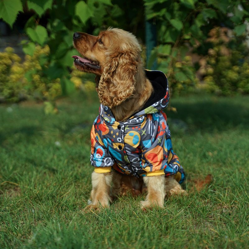 Kuccu Kuccu Design-Hundejacke – Grau| Winddicht & Wasserabweisend | Größen S–XXL