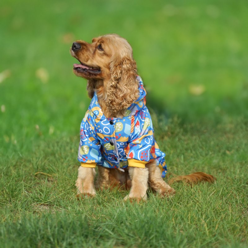 Kuccu Kuccu Design-Hundejacke – Blau| Winddicht & Wasserabweisend | Größen S–XXL