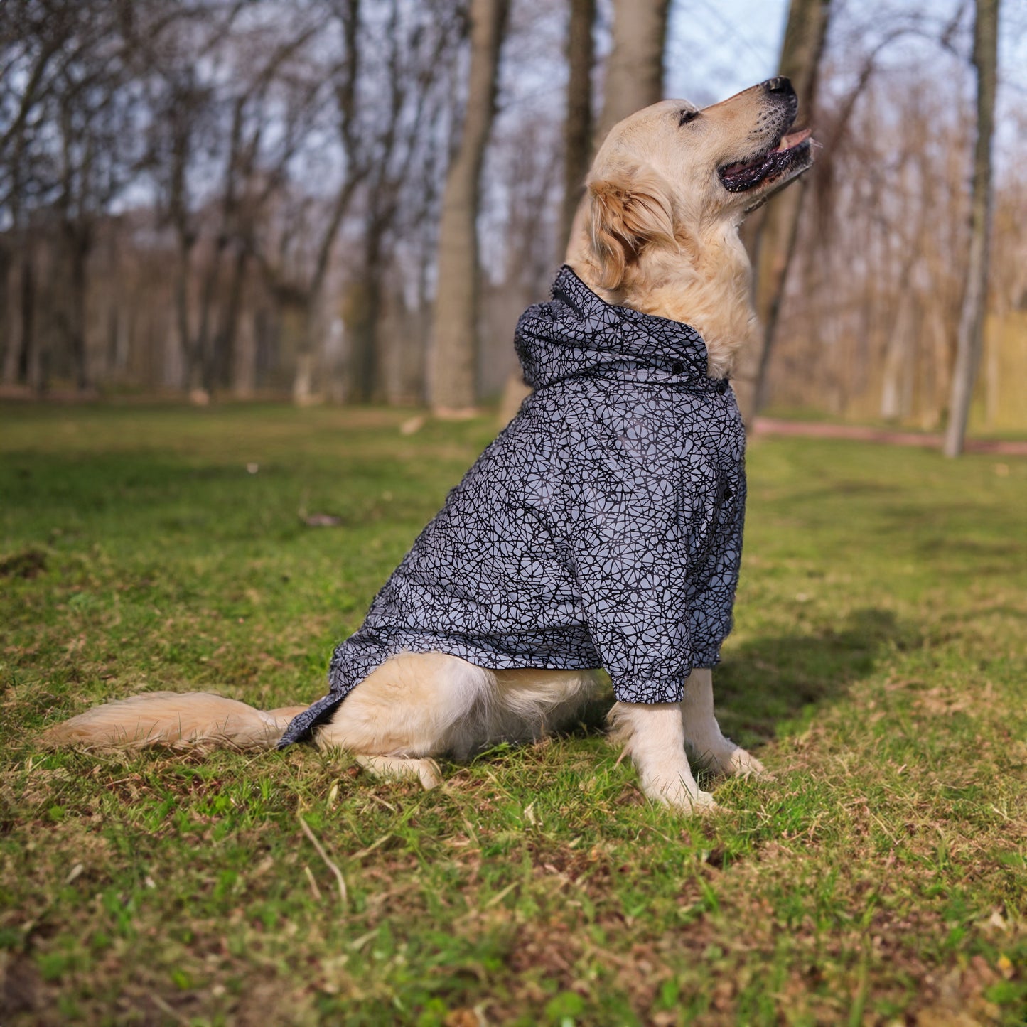 Kuccu Kuccu Reflektierende Hunderegenjacke mit Spinnennetzmuster – Für große Hunderassen | Wasserdicht | XL-XXL