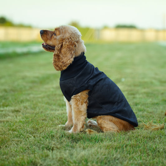 Kuccu Kuccu Softshell-Hundejacke – Schwarz mit Camouflage-Muster | Größen S–XXL