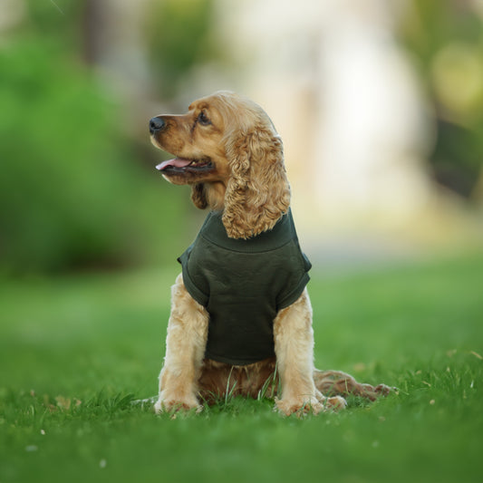 Kuccu Kuccu Softshell-Hundejacke – Grün mit Camouflage-Muster | Größen S–XXL