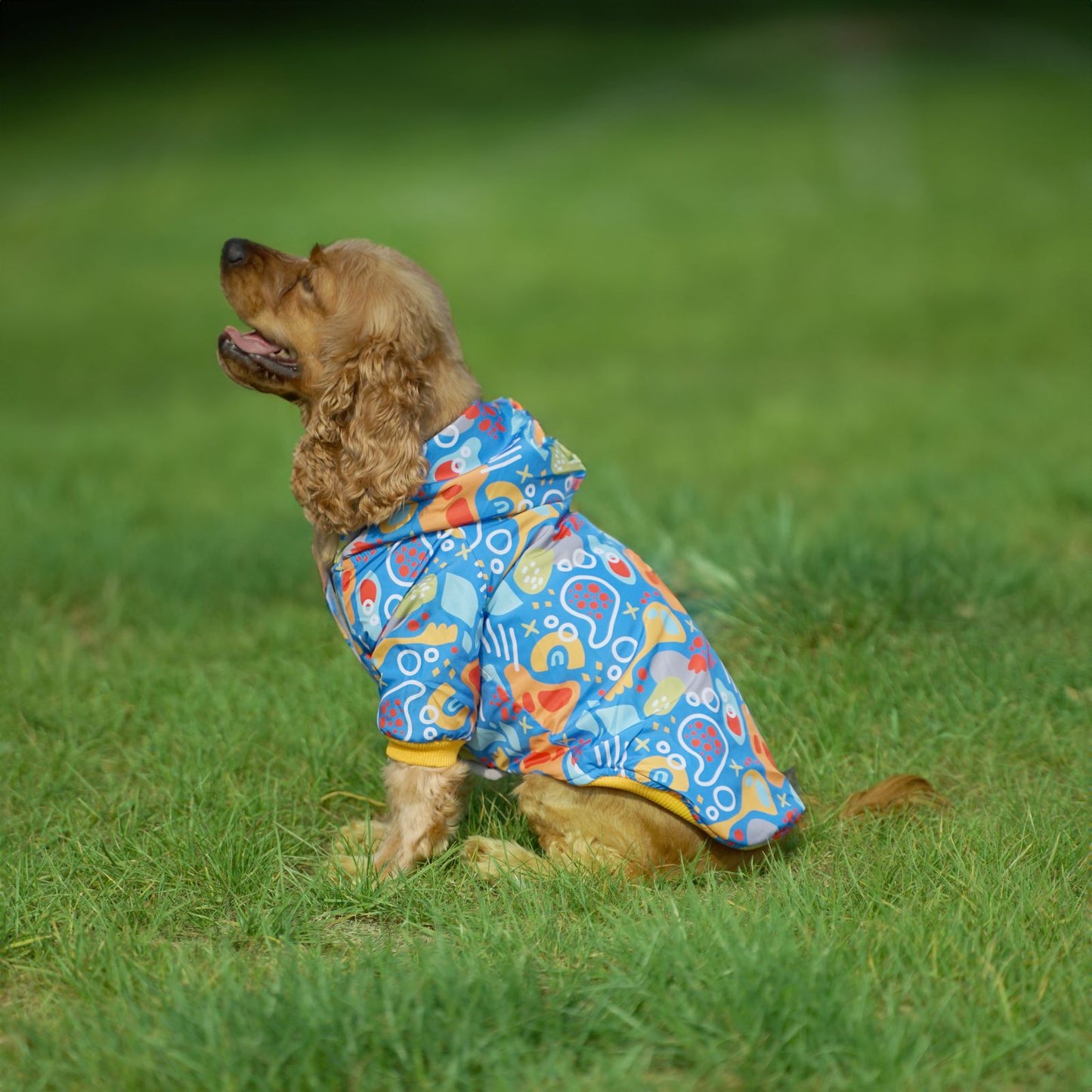 Kuccu Kuccu Design-Hundejacke – Blau| Winddicht & Wasserabweisend | Größen S–XXL