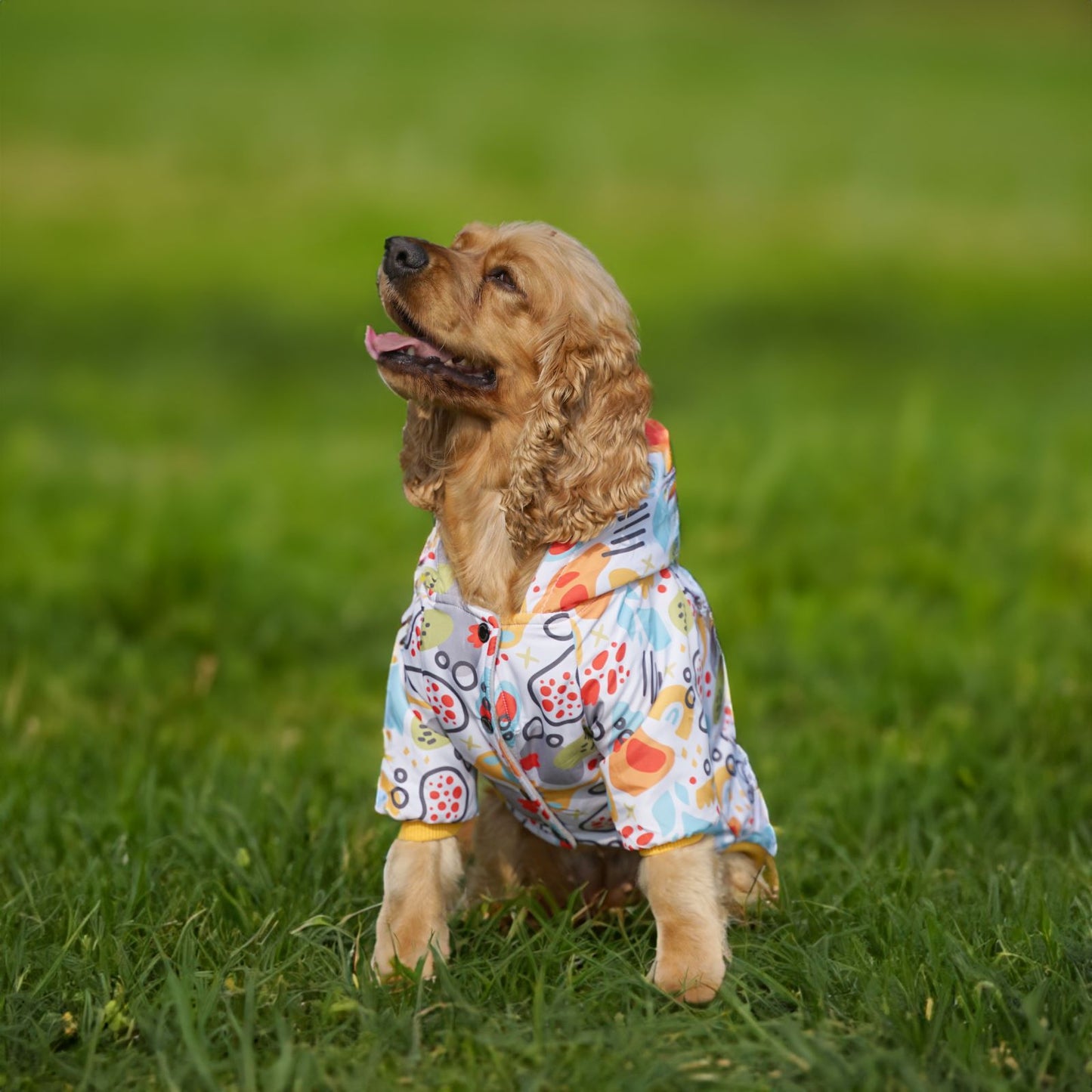 Kuccu Kuccu Design-Hundejacke – Weiß | Winddicht & Wasserabweisend | Größen S–XXL