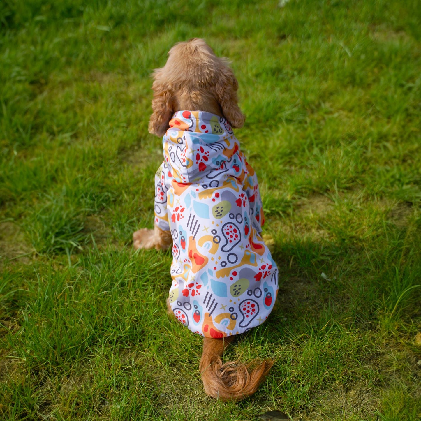 Kuccu Kuccu Design-Hundejacke – Weiß | Winddicht & Wasserabweisend | Größen S–XXL