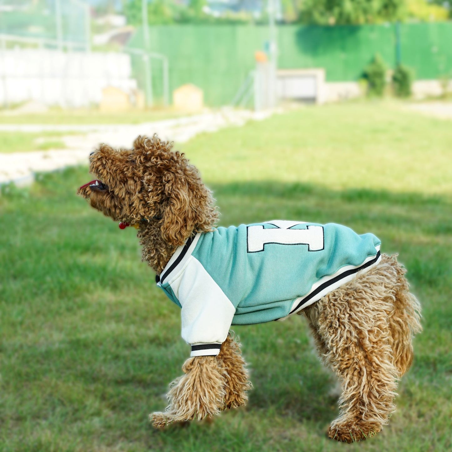 Kuccu Kuccu College-Hundejacke – Grün mit „K“-Stickerei | Größen S–XXL