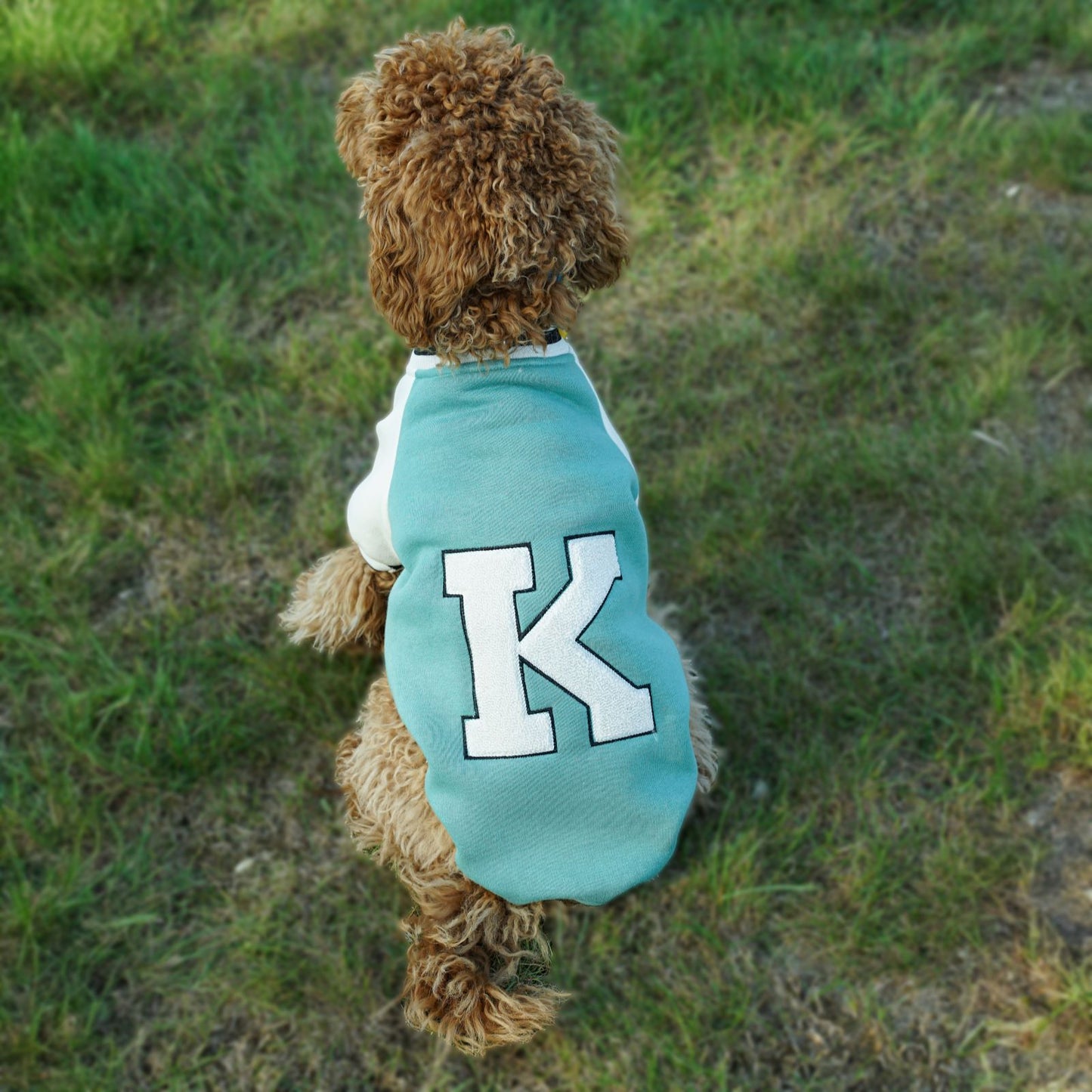 Kuccu Kuccu College-Hundejacke – Grün mit „K“-Stickerei | Größen S–XXL
