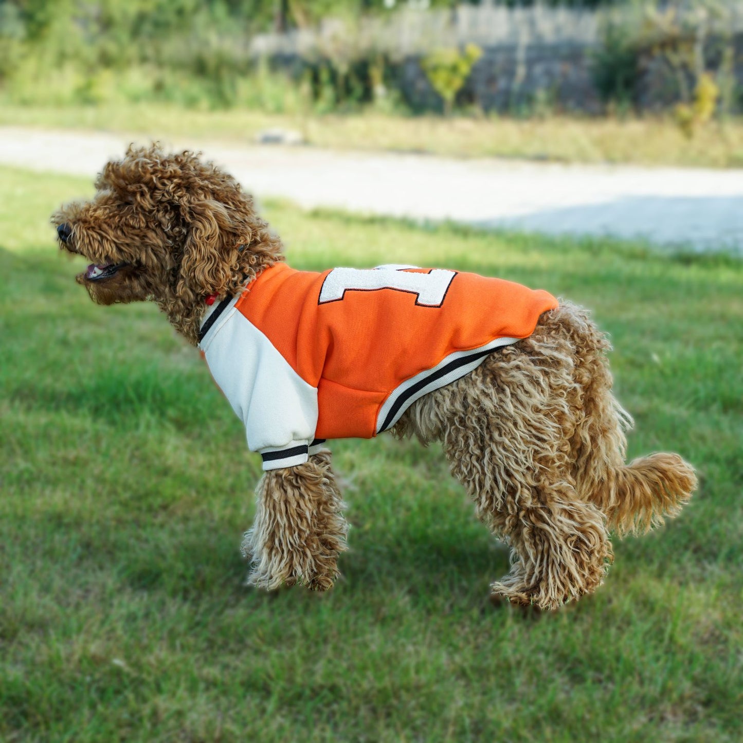 Kuccu Kuccu College-Hundejacke – Orange mit „K“-Stickerei | Größen S–XXL