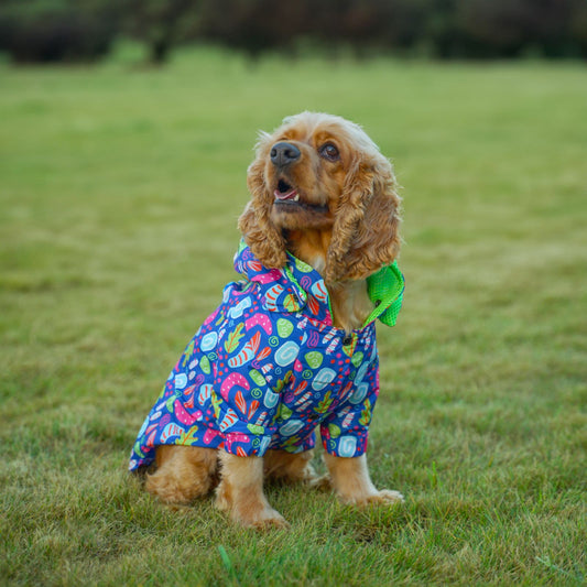 Kuccu Kuccu Neon Dog Rain Jacket | Waterproof &amp; Windproof | S-XXL