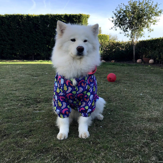 Kuccu Kuccu Neon Dog Rain Jacket – For Large Breeds | 3XL-6XL | Waterproof &amp; Windproof