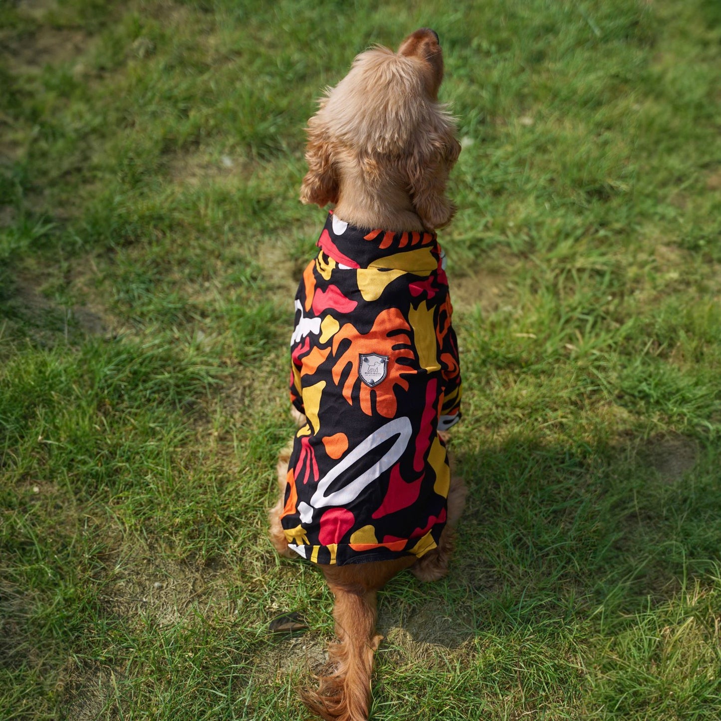 Kuccu Kuccu Hundehemd – Schwarz aus Viskose | 3 Musteroptionen | Größen S–XXL