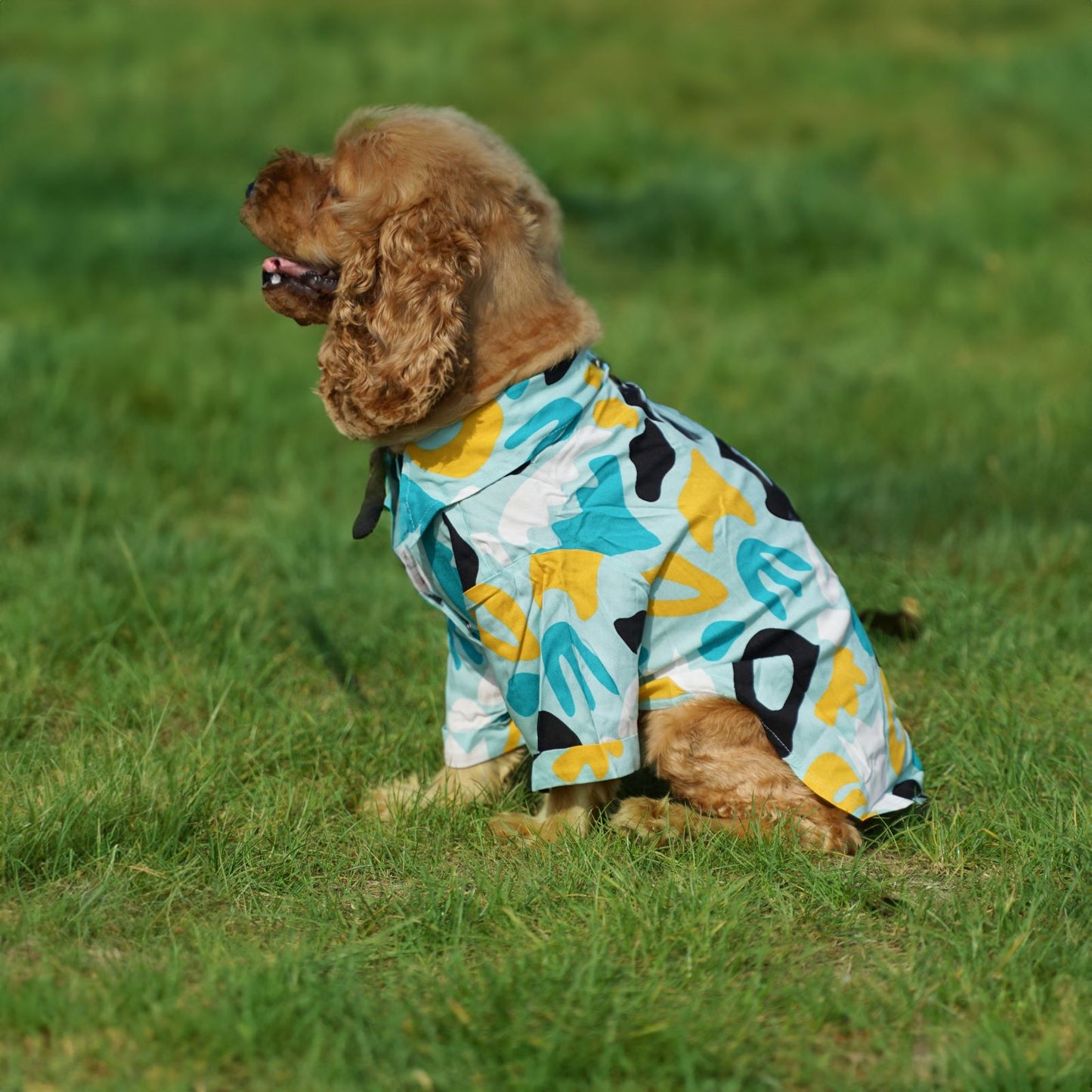 Kuccu Kuccu Hundehemd – Blau aus Viskose | 3 Musteroptionen | Größen S–XXL