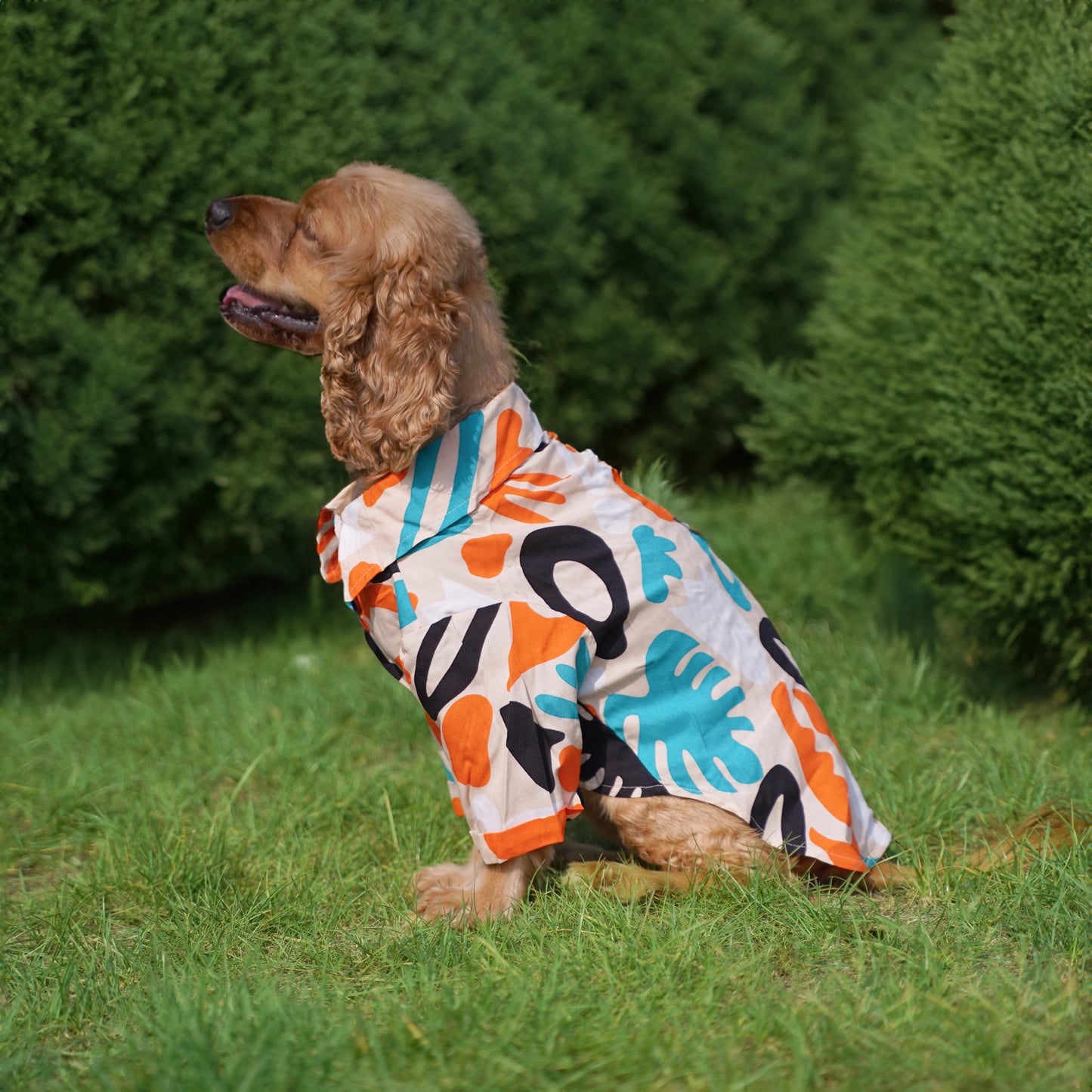 Kuccu Kuccu Hundehemd – Cremefarben aus Viskose | 3 Musteroptionen | Größen S–XXL