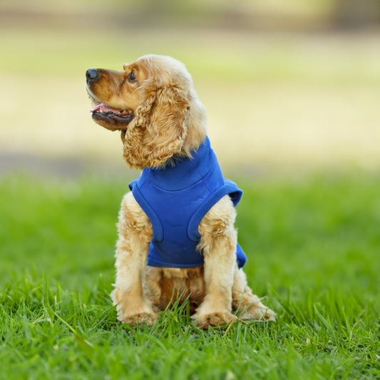 Kuccu Kuccu Softshell-Hundejacke – Blau mit Camouflage-Muster | Größen S–XXL