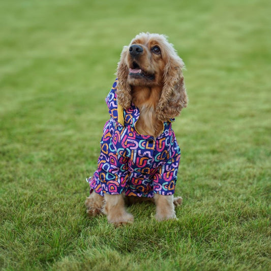 Kuccu Kuccu Purple Dog Rain Jacket | Waterproof &amp; Windproof | S-XXL