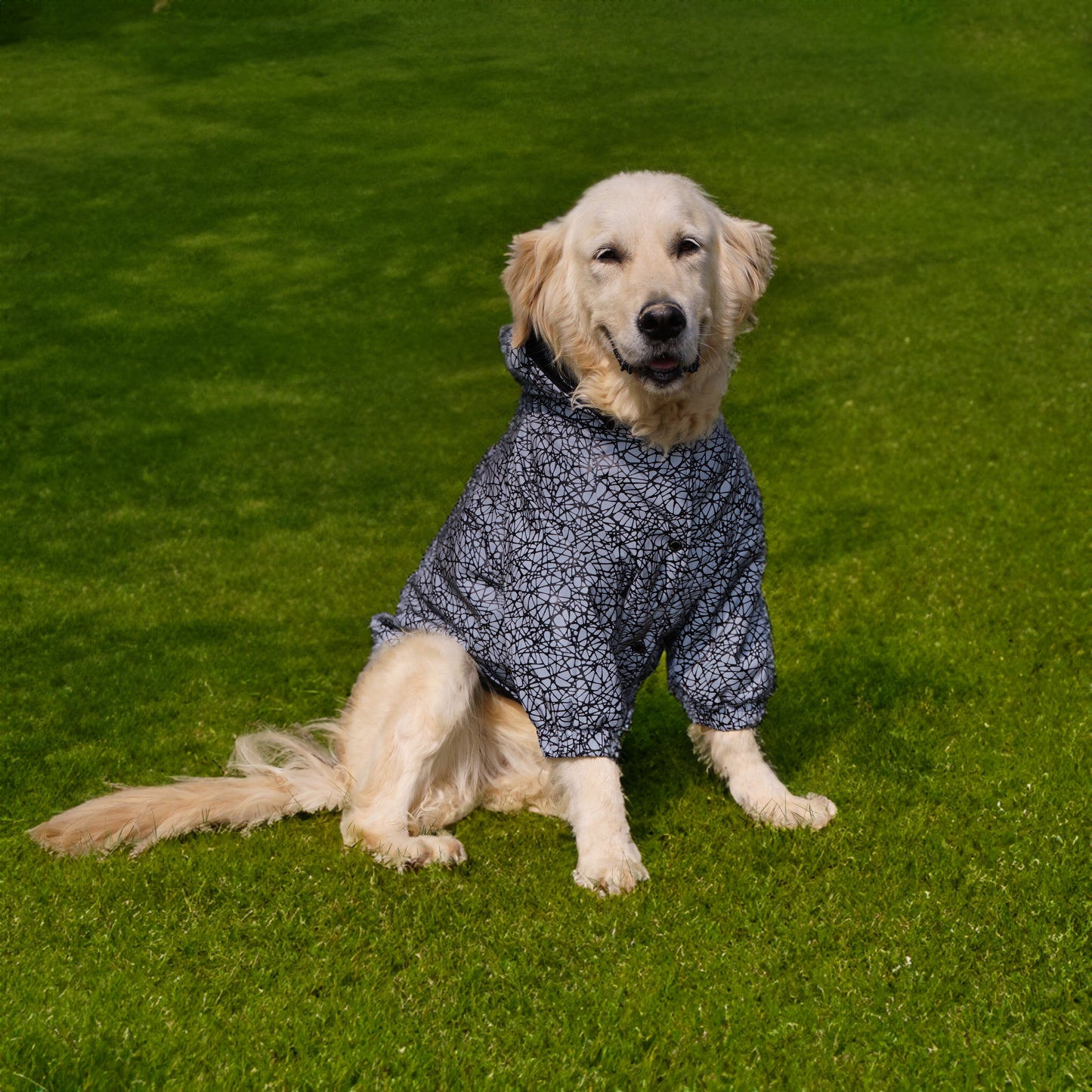 Kuccu Kuccu Reflektierende Hunderegenjacke mit Spinnennetzmuster – Für große Hunderassen | Wasserdicht | XL-XXL
