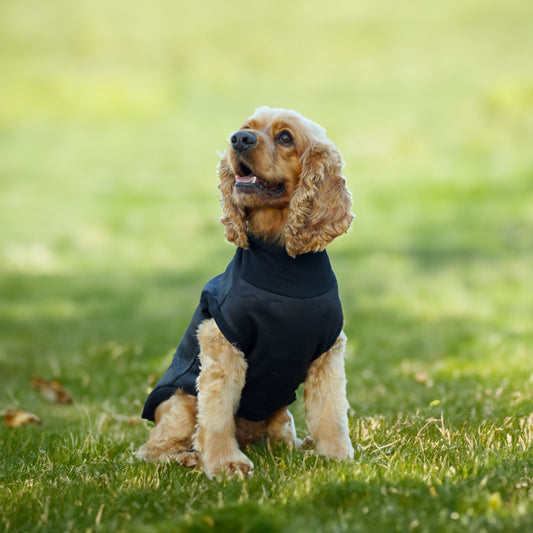 Kuccu Kuccu Softshell-Hundejacke – Schwarz mit Camouflage-Muster | Größen S–XXL