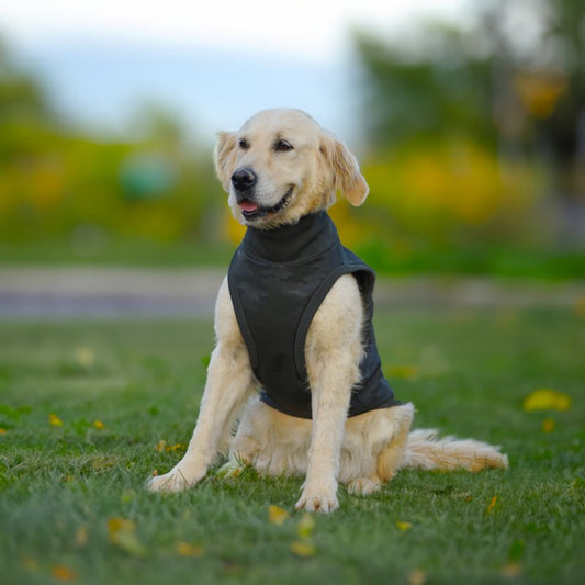 Kuccu Kuccu Softshell-Hundejacke – Grün mit Camouflage-Print | Große Rassen | Größen 3XL–6XL